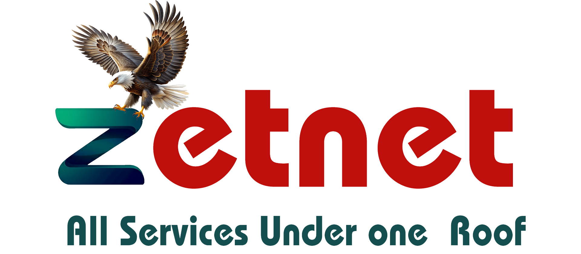 Zetnet - All Services Under One Roof | Created by CherryCraft